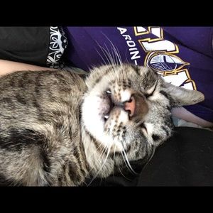 Meet your Posher, Kristin